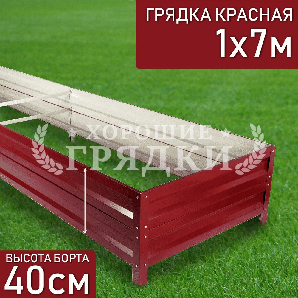 40-красная-1-7